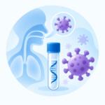 Metapneumovirus hMPV — PCR diagnostics