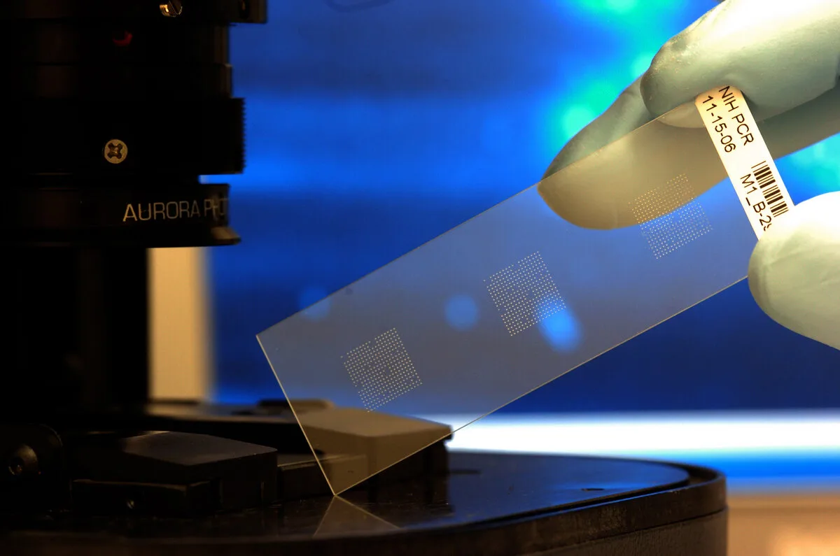 Biochip under a microscope with marked zones