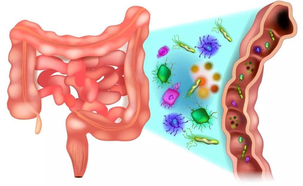 man holding his stomach due to bloating