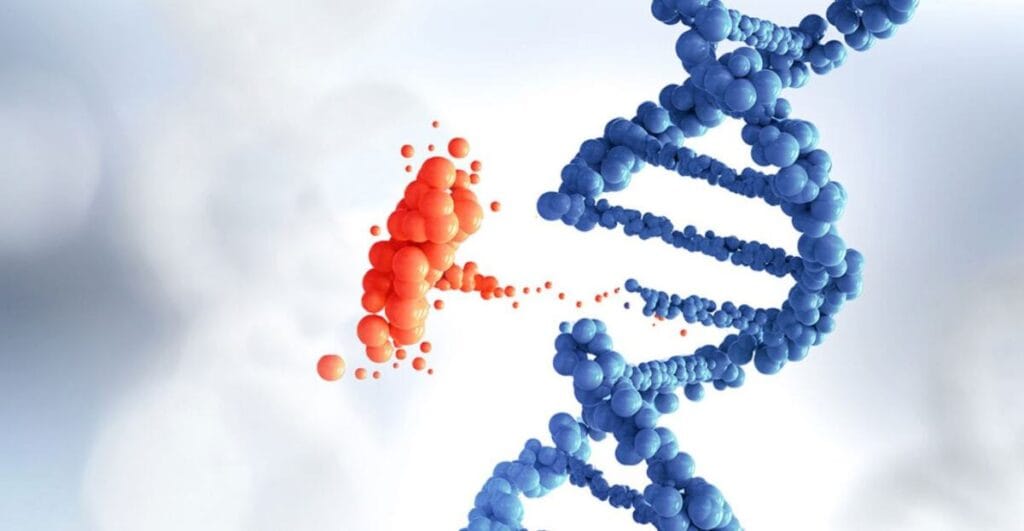 структура ДНК с выделенными генетическими мутациями