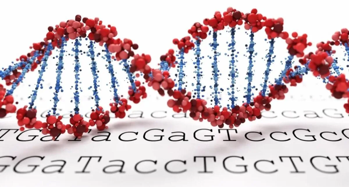 未使用 Shimon & Andy C - Mutation / Genetix Genetic mutations - how DNA changes affect health