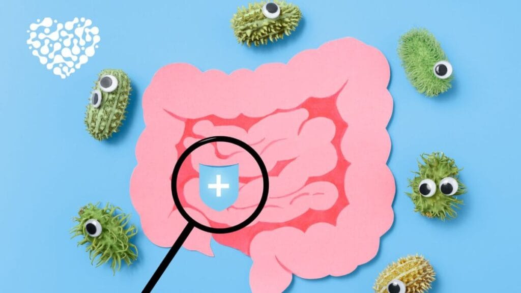 Diagram of the influence of the microbiome on various organs of the body