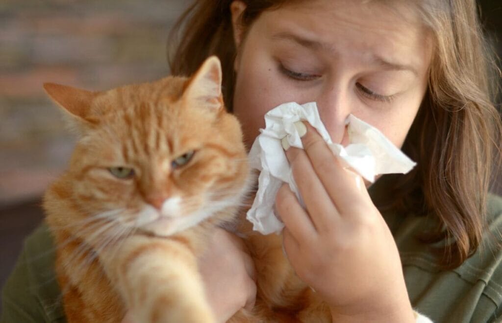 woman holding a cat and sneezing