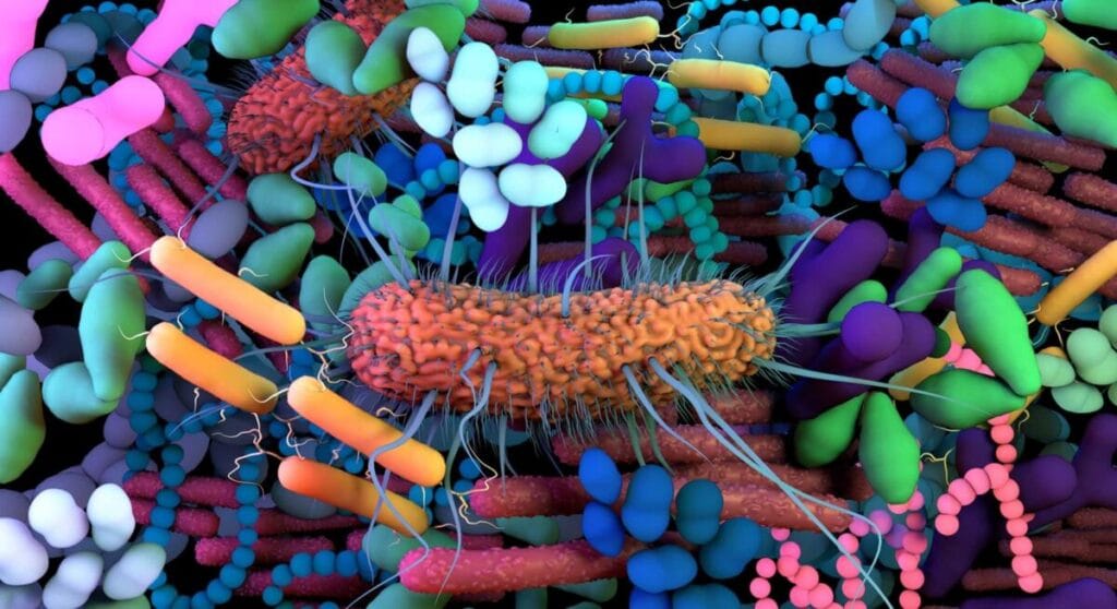 Gut microbiota under the microscope