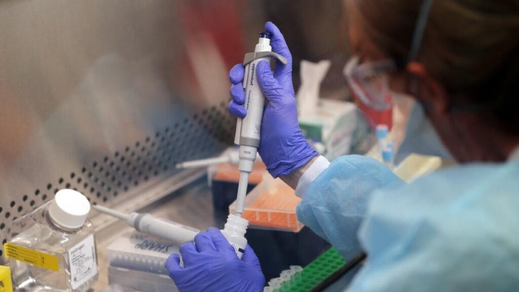 Laboratory assistant working with PCR test system