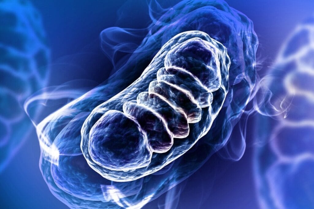 mitochondrial DNA research in a medical laboratory