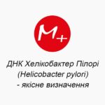 ДНК Хелікобактер Пілорі (Helicobacter pylori) - якісне визначення