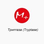 Триптаза (Tryptase)