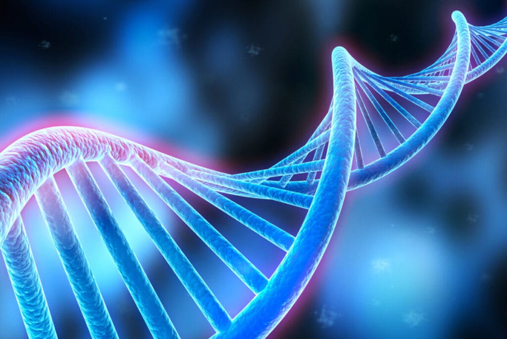 DNA sequencing in the laboratory using modern equipment