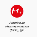 Антитела к миелопероксидазе (MPO), IgG