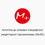 Antibodies to muscle-specific receptor tyrosine kinase (MuSK)