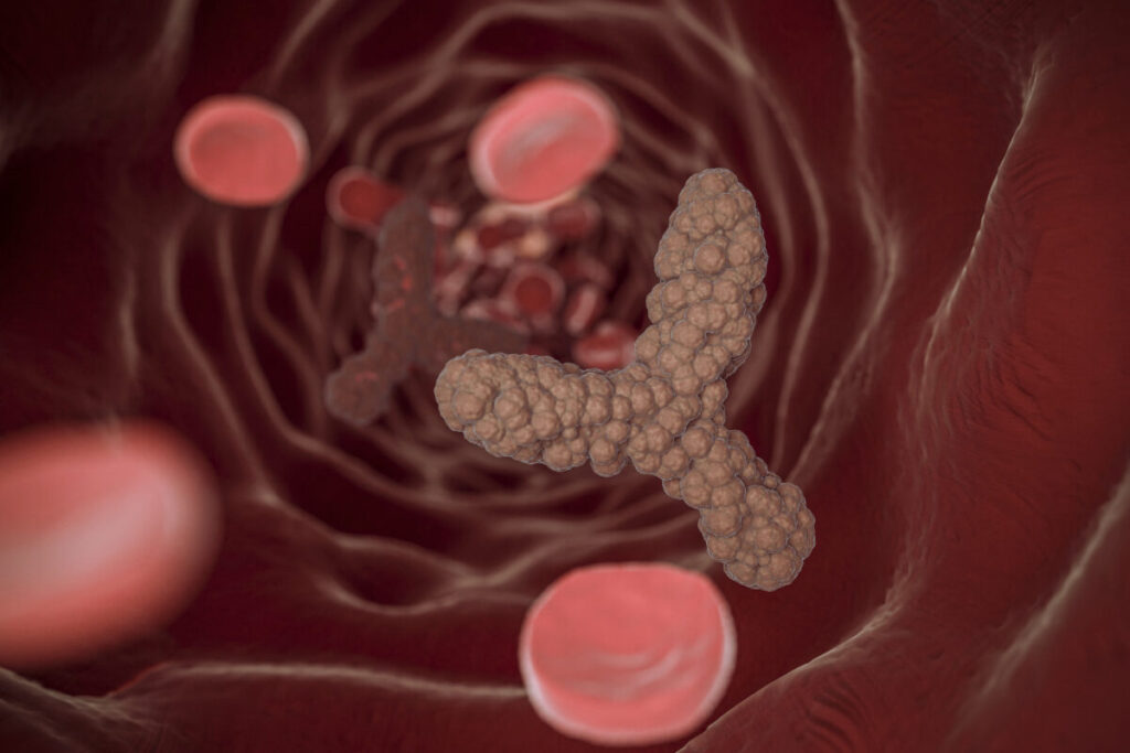 Schematic representation of the human gut microbiome