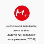 Исследование удаленного яичка и его добавки при воспалительных заболеваниях (ПГ052)