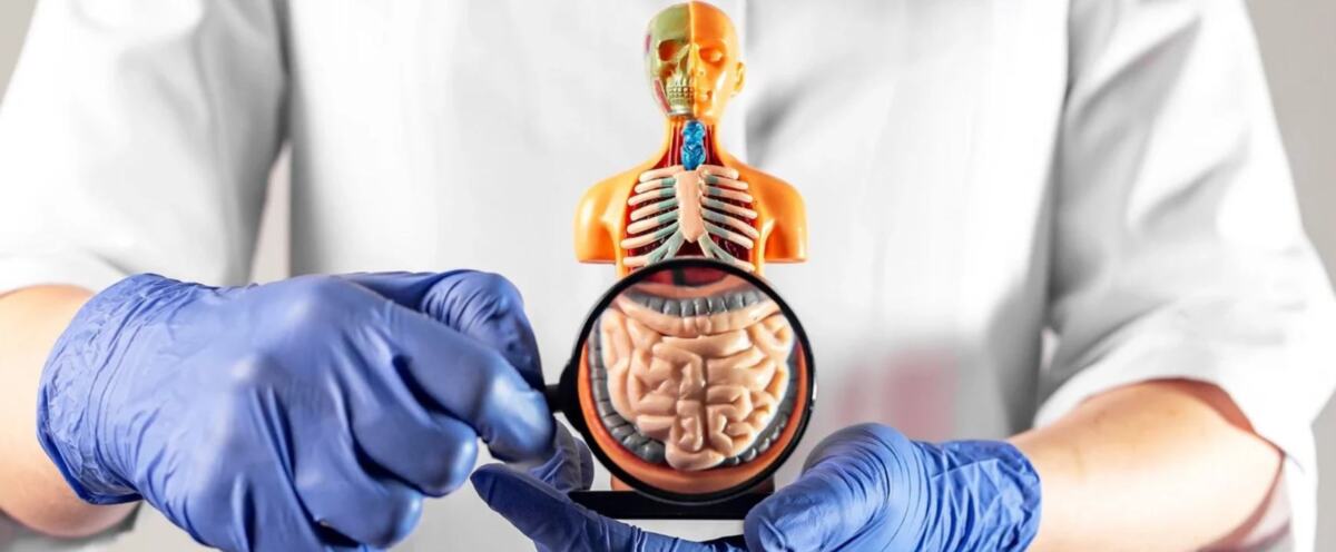 лікування дисбактеріозу та відновлення мікрофлори кишківника