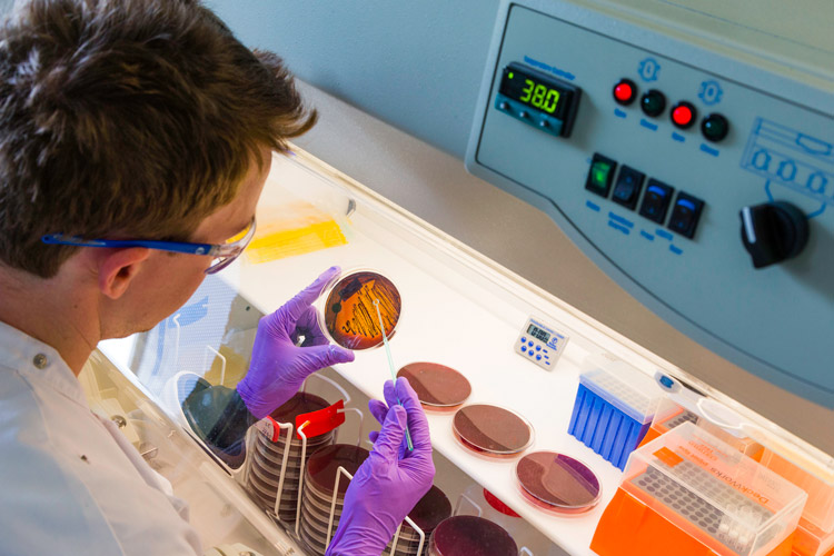 анализ кала на дисбиоз и лабораторную оценку микробиоты кишечника