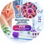 Mycoplasma genitalis — кількісна ПЛР у/г зішкріб